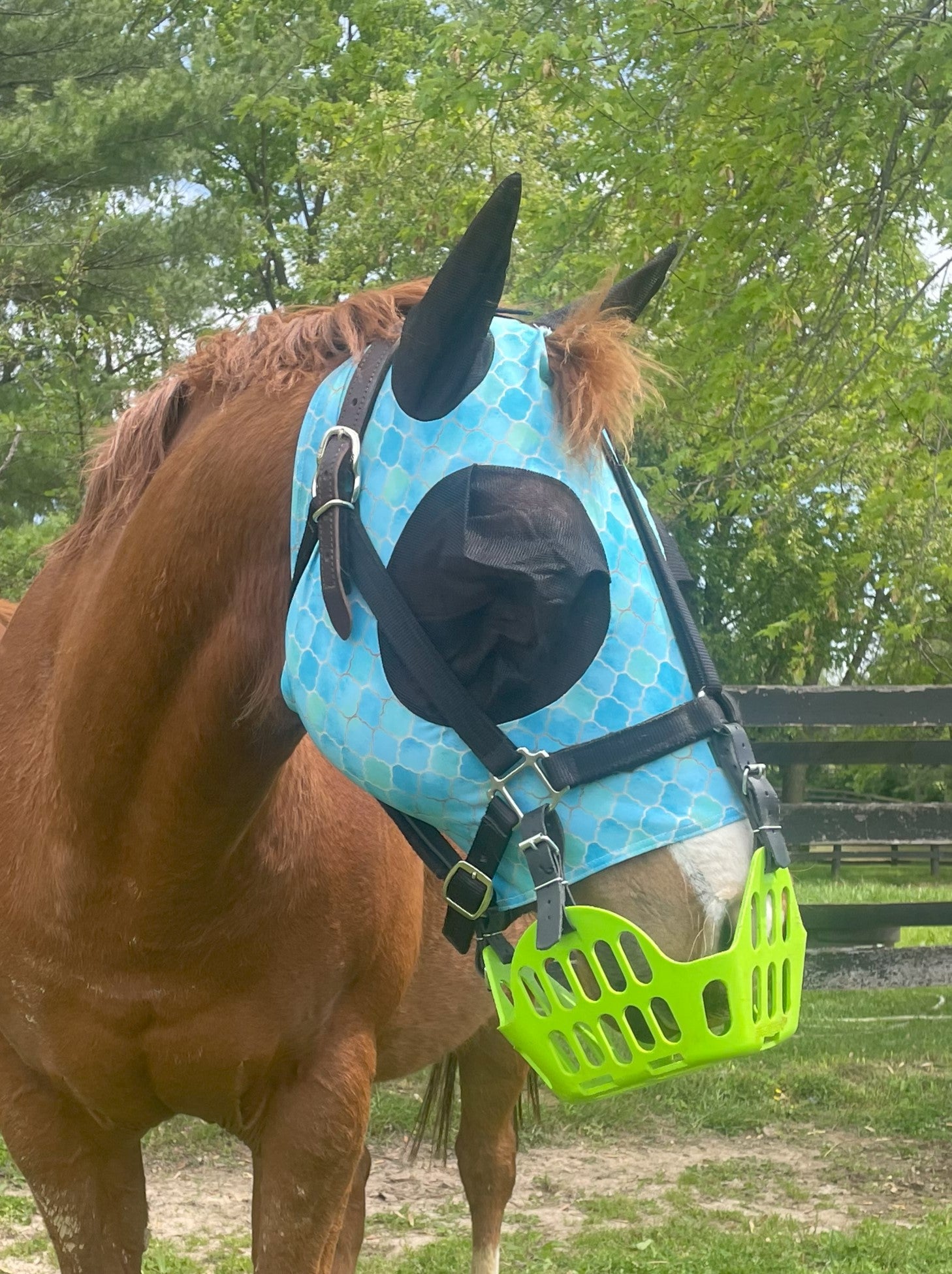 Rub Protector Lycra Fly Mask