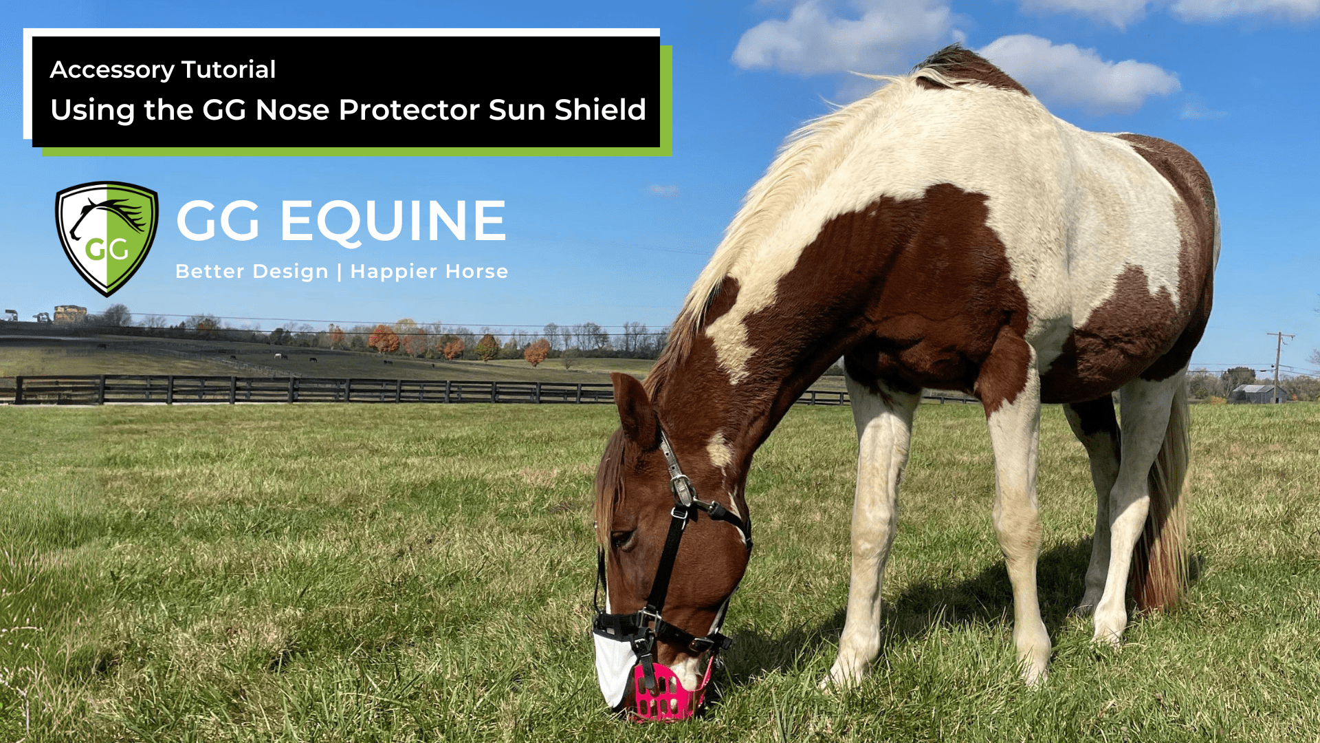 Load video: Introducing the GG Nose Protector Sun Shield, to help horses with sensitive skin and safeguard against dew poisoning.