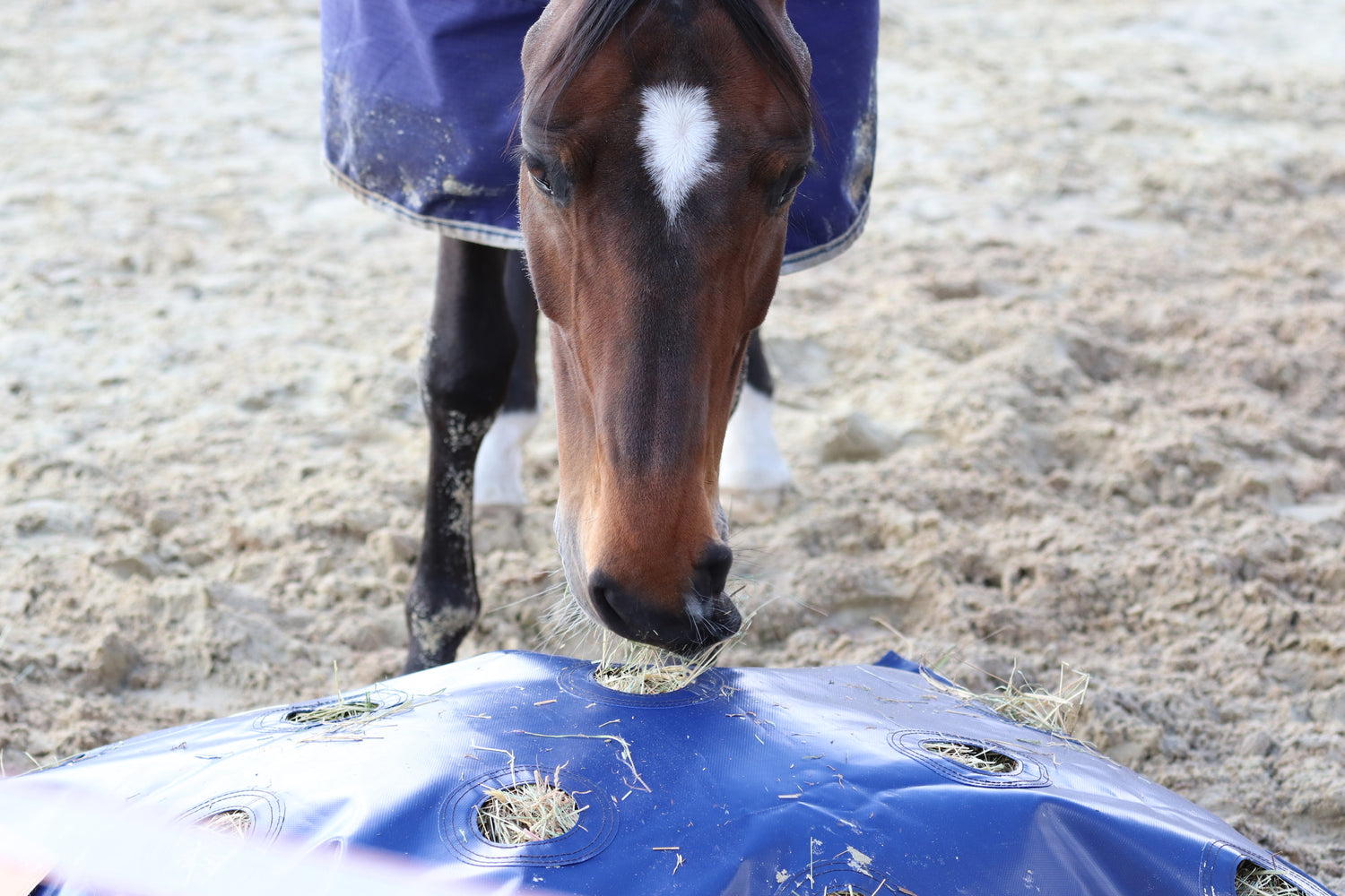 HayPlay Slow-Feed Zip Bag