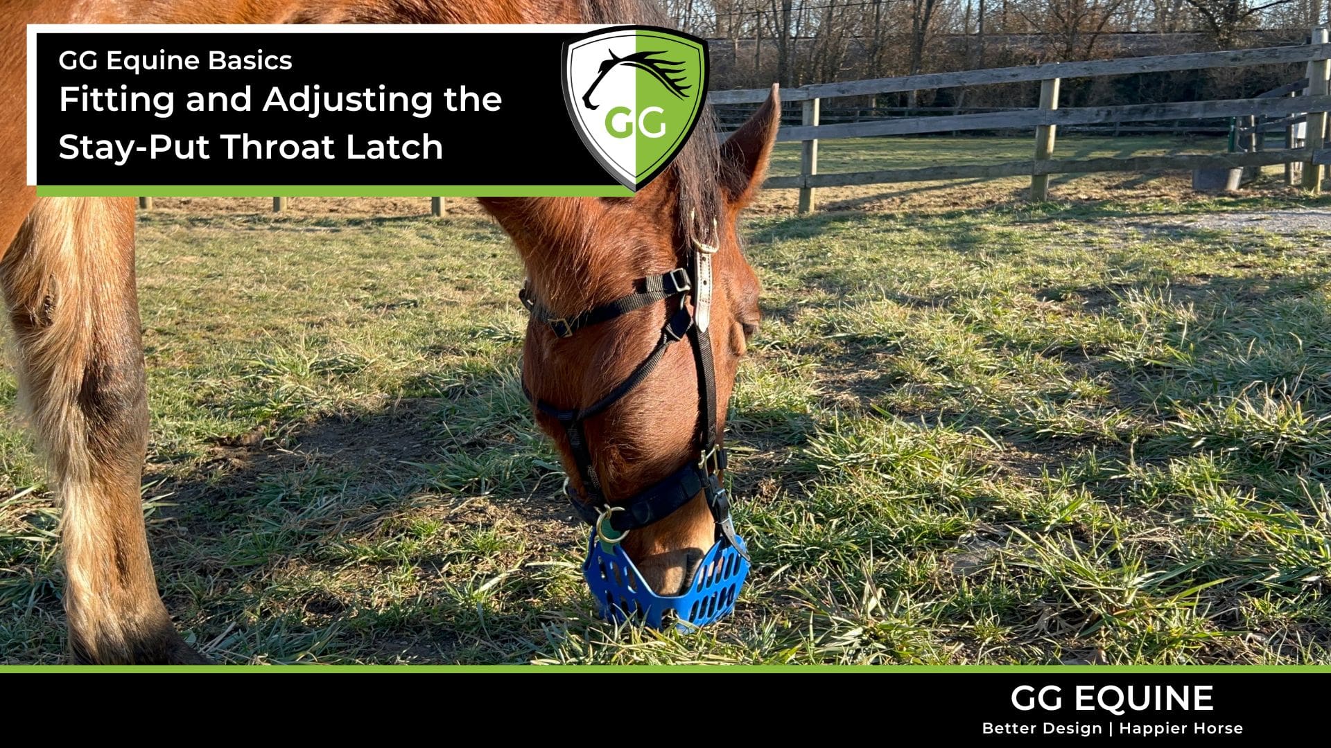 Charger la vidéo: Full tutorial and instruction video for setting up and adjusting the Houdini Helper Stay-Put Throat Latch for Horses.