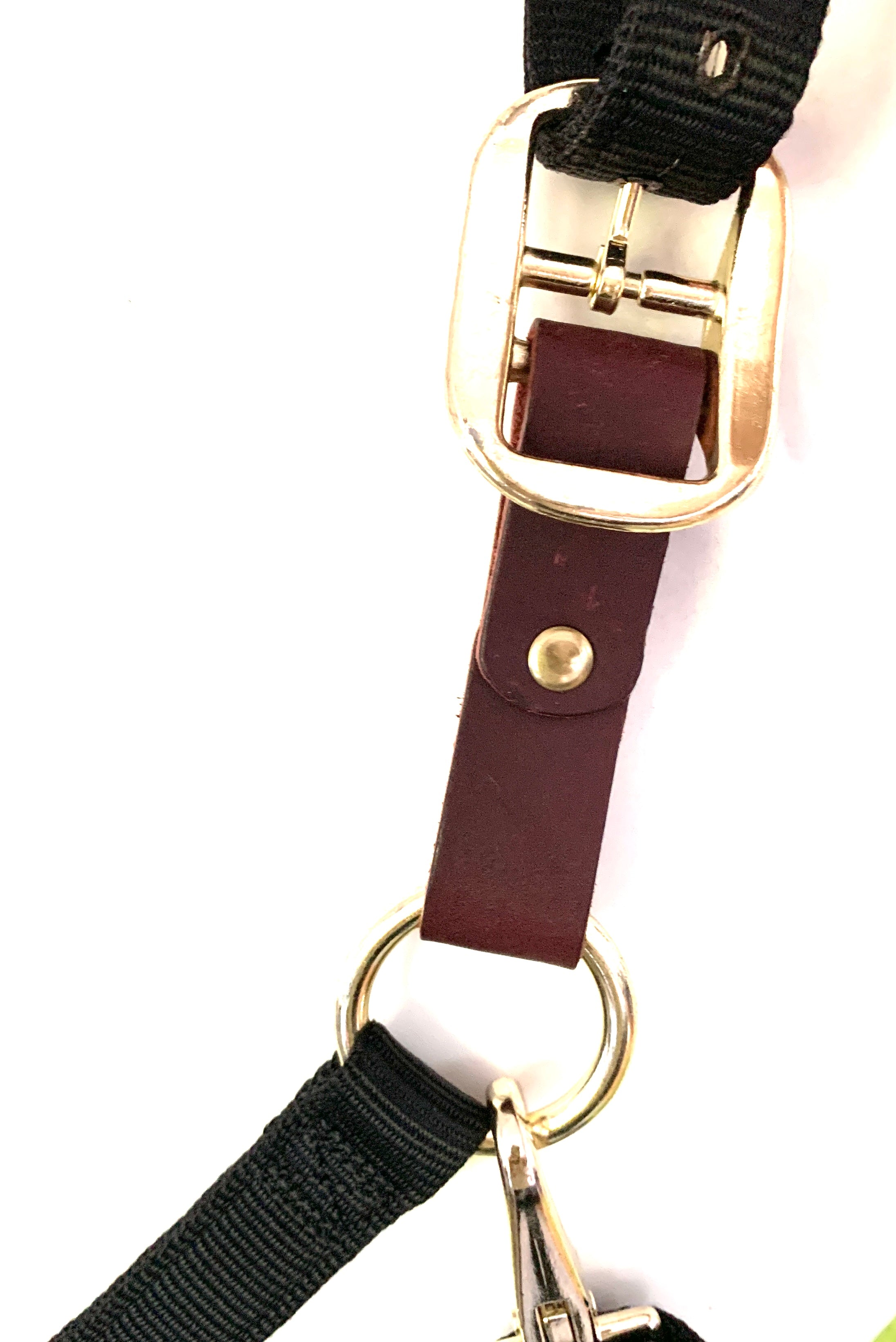 Safety Breakaway Halter Converter for Non-GG Halters